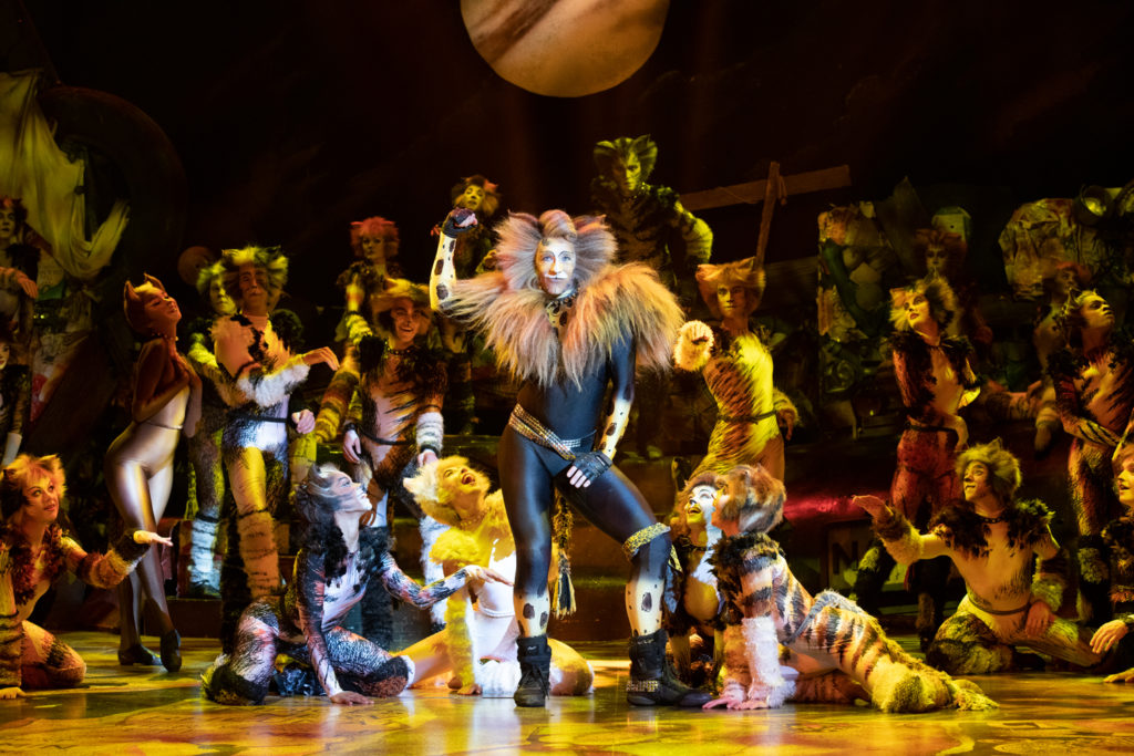 Rum Tum Tugger and 2022 International Tour Company (c) Alessandro Pinna_76_